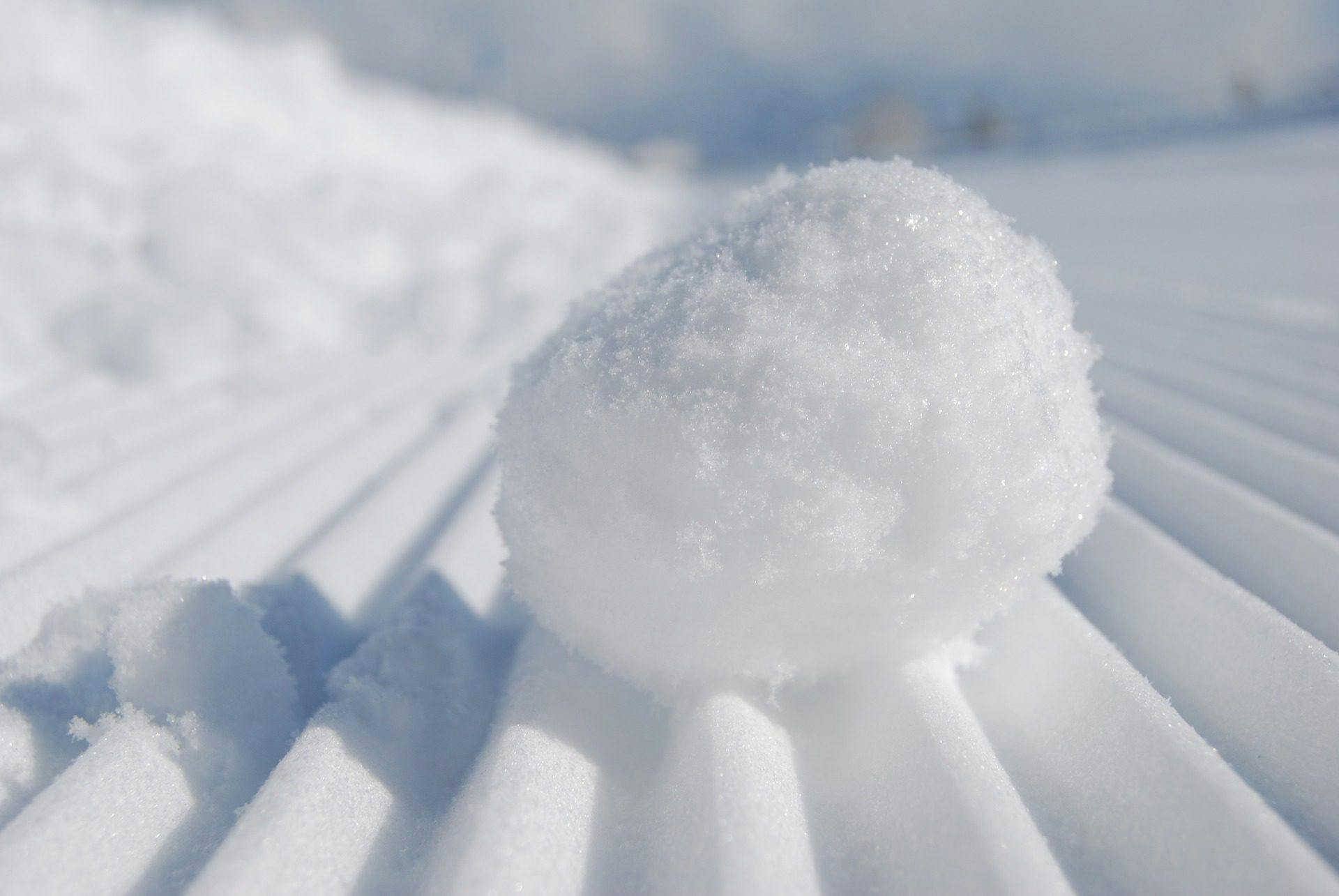 snowball-957759_1920